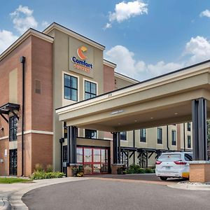 Comfort Suites Airport-University